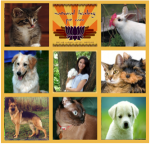 Natural Care for Cats and Dogs