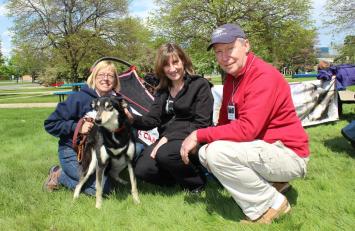 Sled dogs at the Big Read Dearborn wrap-up party at the Henry Ford Centennial Library on Saturday, May 17